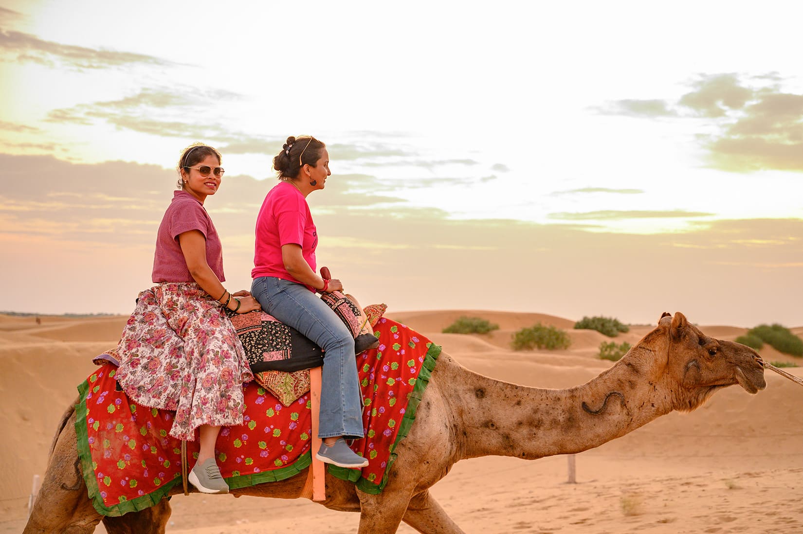 Camel Safari