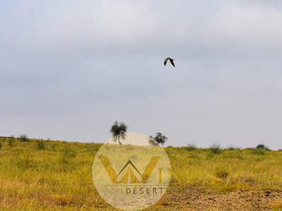 Desert National Park
