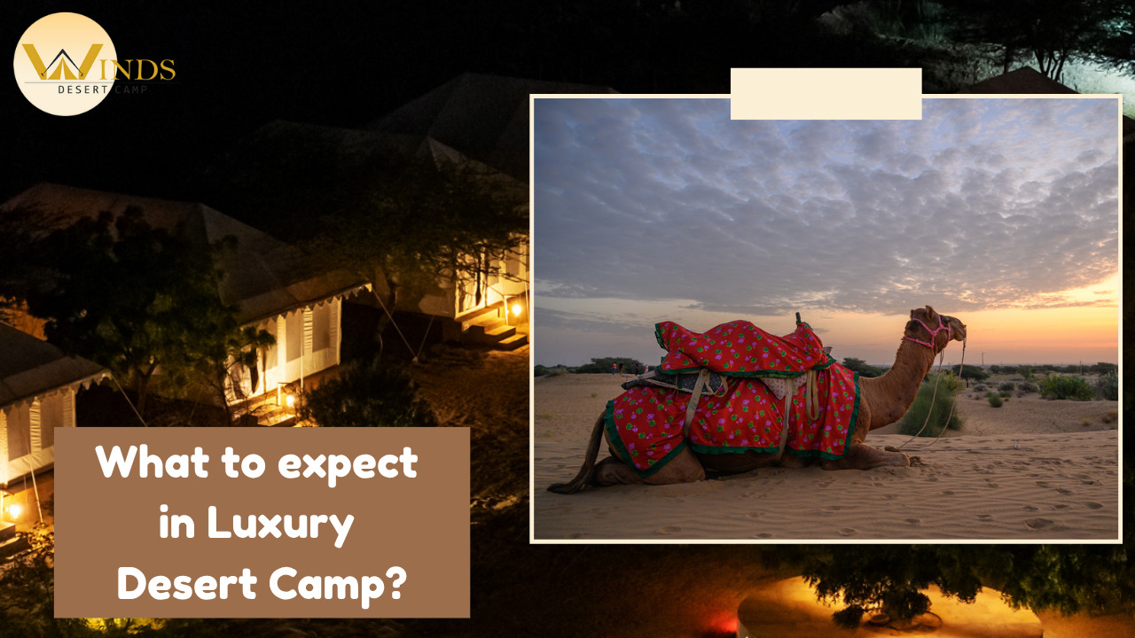 What to expect in Luxury Desert Camp?