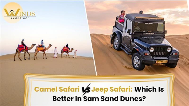 Camel Safari vs. Jeep Safari: Which Is Better in Sam Sand Dunes?