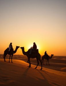 exp-camel-C4IXhJin